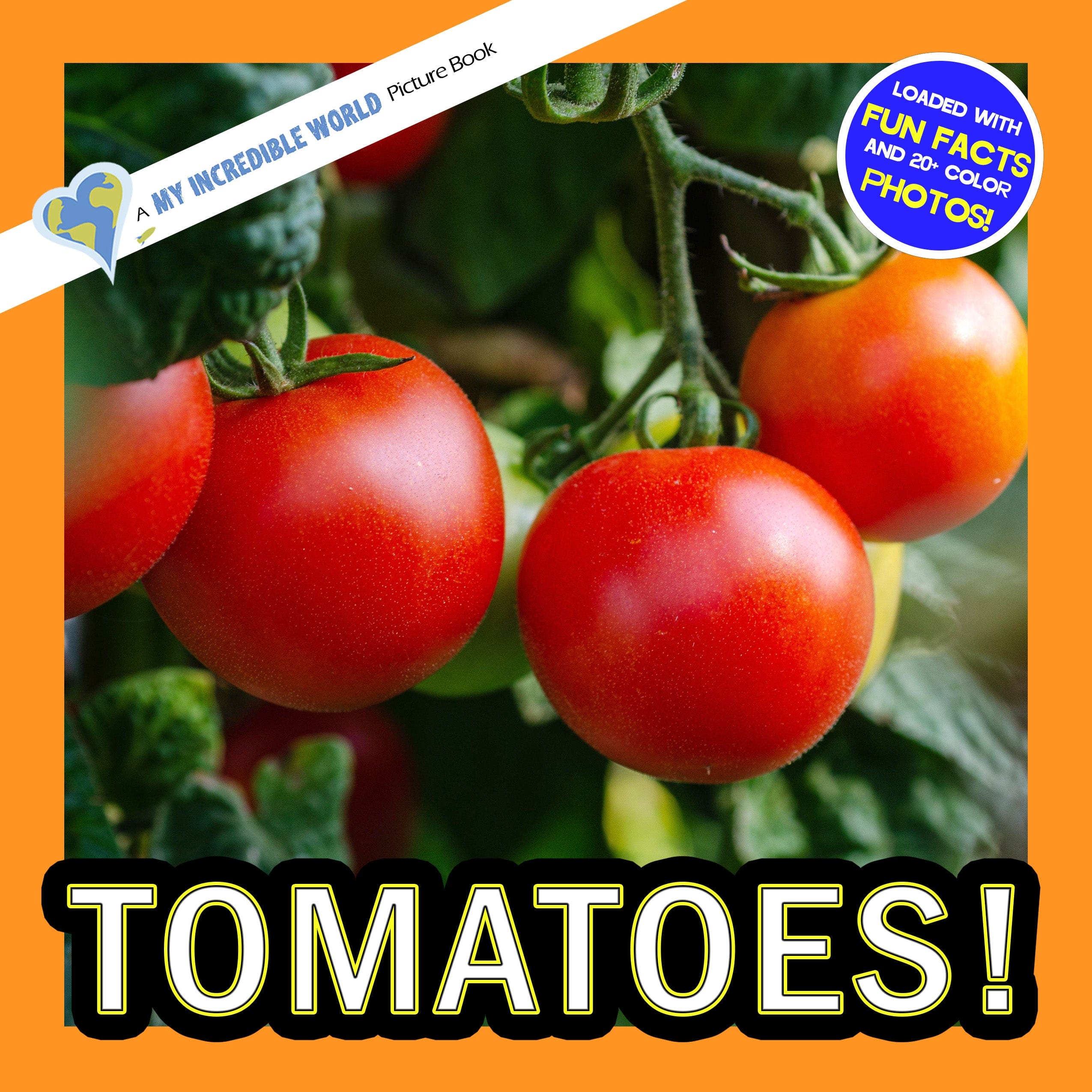 Tomatoes! A My Incredible World Picture Book for Children
